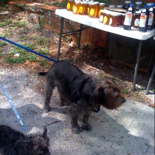 pbehnste's profile picture. 