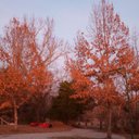 Mark Trudeau - @MarkTrudeau10 - Twitter