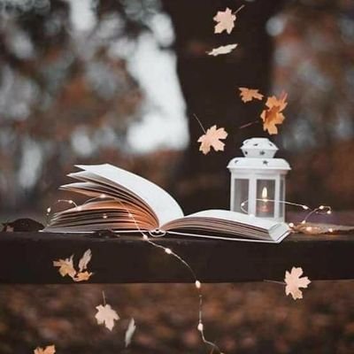 Ebooks17782852's profile picture. livros, Mentes e Guarda-chuvas Somente servem se os abrirmos !📚💘