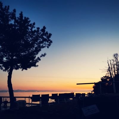 high_k1717's profile picture. ロム垢