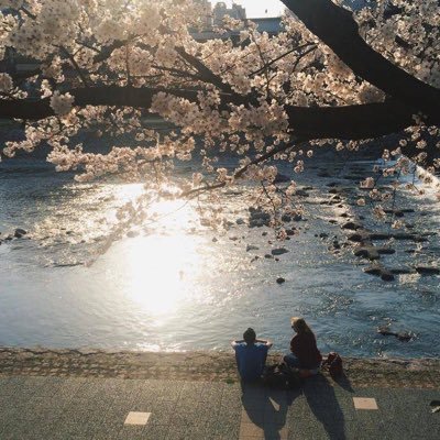 sky567zz's profile picture. 