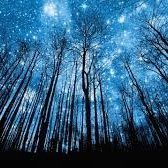 YaBoyMsh's profile picture. 21