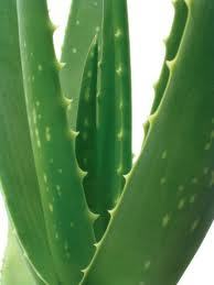 Remedies e-books