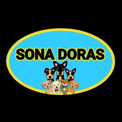 SONA DORASさんのプロフィール画像