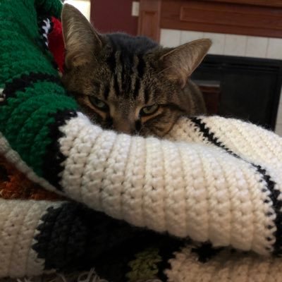 Hi Everyone! My name is Alyssa. I love crochet, and am currently in the process of getting an Etsy shop set up.