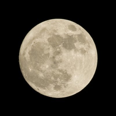 VBnet6's profile picture. 新卒1年目でSESやってます。言語はhttps://t.co/zPO2Y3GTogです。Web系エンジニアに転職したい👨🏻‍💻 Swift勉強してます！ #駆け出しエンジニアと繋がりたい