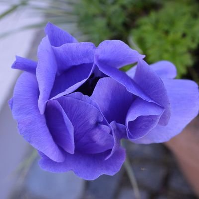 I really love our nature. Birds are nature, and so it's time to twitter
#nature #travel #deutschland #photography #flowers