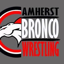 Amherst Wrestling
State Champions 1973, 1977, 1978, 2006, 2010, 2011, 2012, 2013, 2014, 2015, 2016

Duals State Champions 2013, 2014, 2015, 2016, 2017