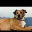 Haley Ludwig - @msjacksonD - Twitter