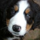 Miriam Werner - @MiriamTHW - Twitter