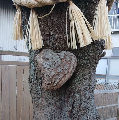 ほぼリツイートです。
大昔に成人済みです。