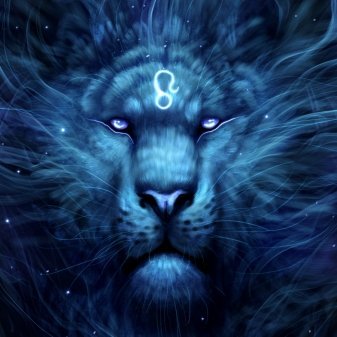 quantrader01's profile picture. 