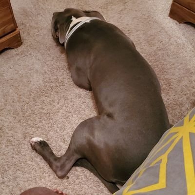 BIGJEFEKEEM's profile picture. The sky the limit. Break through any boundaries!!!!