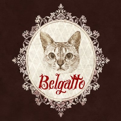 meimei_belgatto's profile picture. 仕掛け絵本のような動く通販サイトで作品販売をしています。