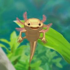 yukimida__ifuku's profile picture. 