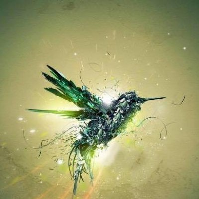 ChatanYoussef's profile picture. ik ben een strijder