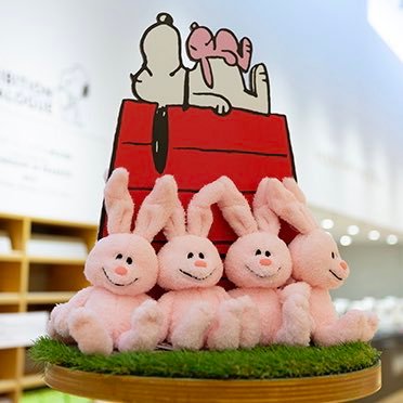 Yuno_koitsuba's profile picture. 恋つば専用アカ(*˙˘˙*)ஐみんなと楽しくおしゃべりしたいな♡無言フォローすみません！フォロバしてもらえると嬉しいです⑅◡̈*#恋つば#キングサラ民#恋つばチャンネル