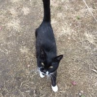 カズヨシrr (@kazuyoshirr) 's Twitter Profile