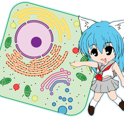 らいふラボらいふ 告知 コミックマーケット99申し込みました ばくてり 擬人化細菌学 ウイルス編3 として 要注意な ウイルス編 Hiv Cmv 日本脳炎ウイルス 風疹ウイルスあたりにご登場いただきます 古典編は今度こそグレイ解剖学明治版 らいふラボらいふ 告知 コミックマーケット99申し込みました ばくてり 擬人化細菌学 ウイルス編3 として 要注意な ウイルス編 Hiv Cmv 日本脳炎ウイルス 風疹ウイルスあたりにご登場いただきます 古典編は今度こそグレイ解剖学明治版