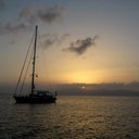 Olivia Joiner - @obbeba14 - Twitter