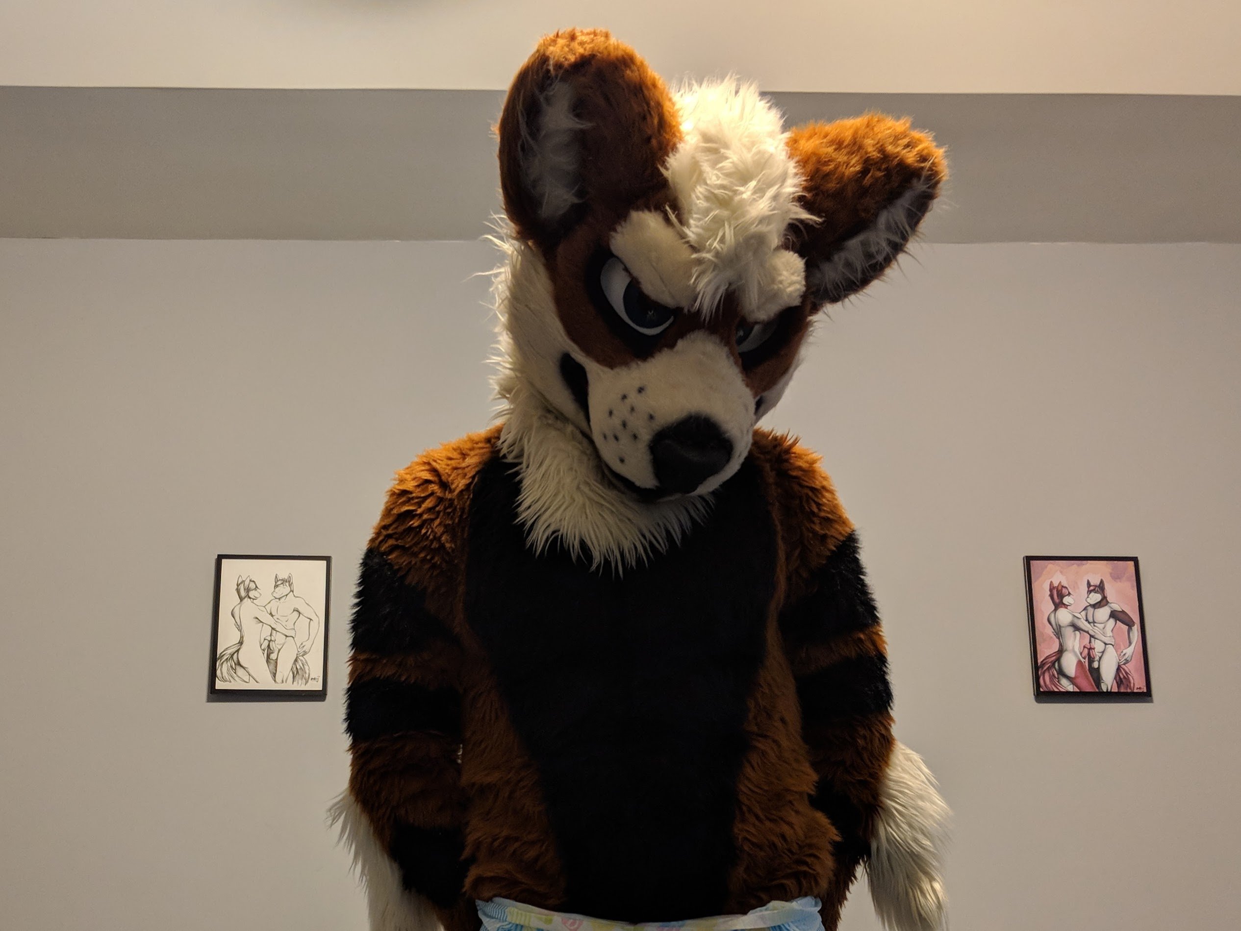 18+ NSFW sometimes Fursuit building, classic VW surgeon, moto riding, kinky, diapered, rubber, husky mutt drinker of beer TG link https://t.co/l6gzfrvl8X