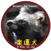 楽運犬(@raccoon_d3) 's Twitter Profile Photo