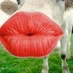 Dairygoodness (@dairygoodness) Twitter profile photo