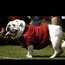 Jesse Downs - @GeorgiaFan3 - Twitter