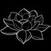 Dark Lotus Entertainment (@darklotusphoto) Twitter profile photo Dark Lotus Entertainment (@darklotusphoto) Twitter profile photo
