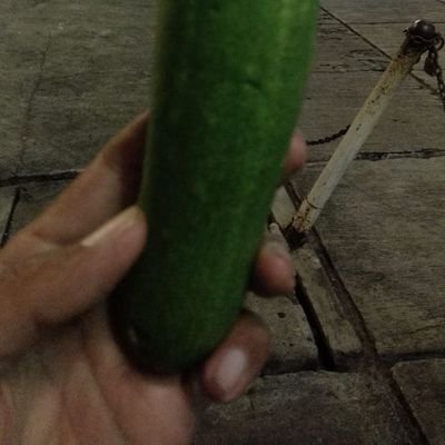 3hLeSvnhJfQwE2f's profile picture. jadilah pribadi diri sendiri