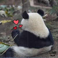 ㅈㅇ🐼 (@onigiri_panda3) 's Twitter Profile Photo ㅈㅇ🐼 (@onigiri_panda3) 's Twitter Profile Photo