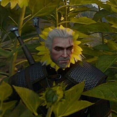 White Wolf 0xa2g8wqrcohgzs Twitter