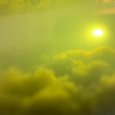 bradoneill's profile picture. 