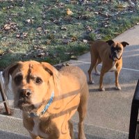 Erin Lauzon (@edgarapoerules) 's Twitter Profile