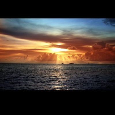 MalikaSafsaf's profile picture. 