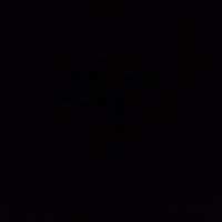 Dave Rohlen (@drohlen) 's Twitter Profile