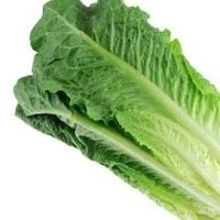 lettuce 💪🇦🇲(@lettucik) 's Twitter Profile Photo