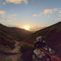 Jake (@jakeinthesz) 's Twitter Profile Photo