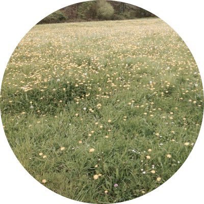 lechercheurdor's profile picture. Justice sociale, fiscale et écologique, solidarité entre les peuples, anti fascisme