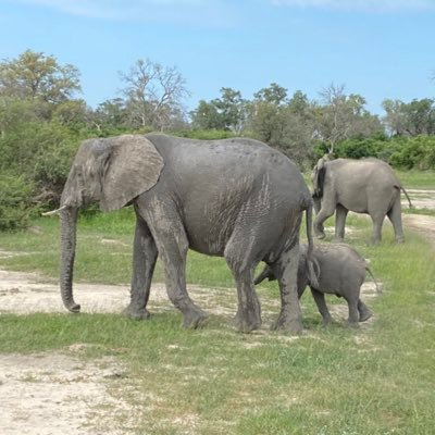 staynbalanced's profile picture. Realize what's important