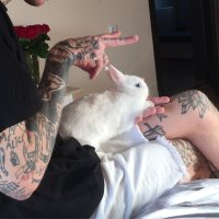 молодой господин проливает чай (@greentea_0207) 's Twitter Profile