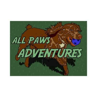 A professional & friendly dog walking & home visit service. Fully insured, canine first aid & DBS checked. @NarpsUK member. @TheoPaphitis #SBS & #QueenOf winner