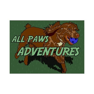 All Paws Adventures