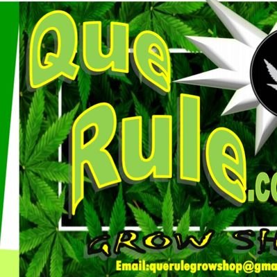 Querule4's profile picture. Grow shop de confianza