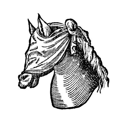 leightoro's profile picture. Hedge Priest