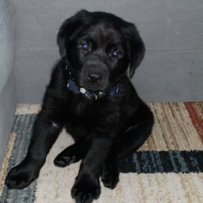 delaluznola's profile picture. Love, love, love