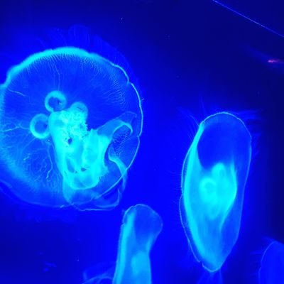 mayumi19690111's profile picture. EXILE/三代目💛直ちゃん大好き😆💕