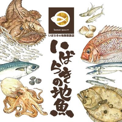 高鮮度で美味しい「いばらきの地魚」を、買ったり食べたりできるお店を認証する「いばらきの地魚取扱店認証制度」。いばらきの地魚に関する様々なことをツイートしています。ホームページもあるので是非ご覧ください。 #いばらきの地魚取扱店 #茨城県 #地魚 #魚介類 #新鮮 #美味しい #飲食店 #ホテル #旅館 #量販店