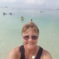 Linda Helms - @LindaHe43731738 Twitter Profile Photo