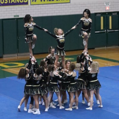 Glenbard North Cheerleading ✨2017 Sectional Champs 🏆 State Qualifiers 2012, 2014, 2017, 2018, 2019, 2020 🐾